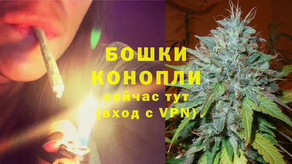 ГАЛЛЮЦИНОГЕННЫЕ ГРИБЫ Лабытнанги